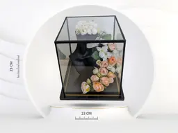 Glass Box for the Perfect Display